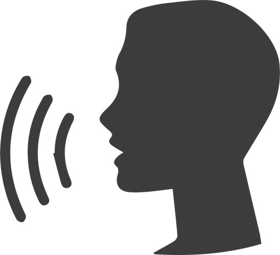 Prise de parole orale